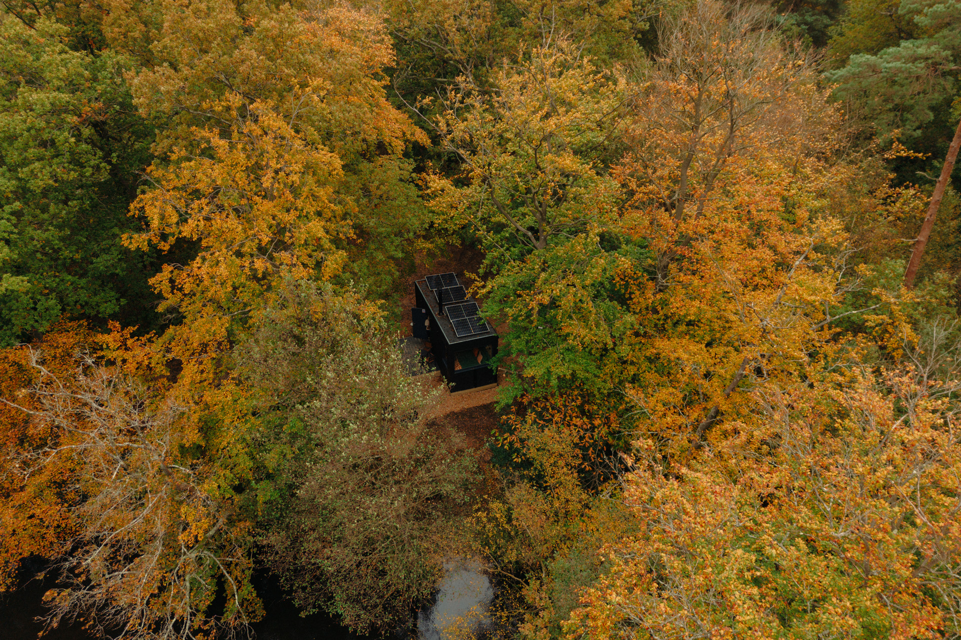 A cabin surrounded by autumnal trees