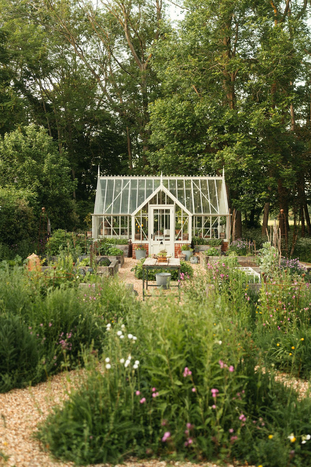 Lydia Millen's garden