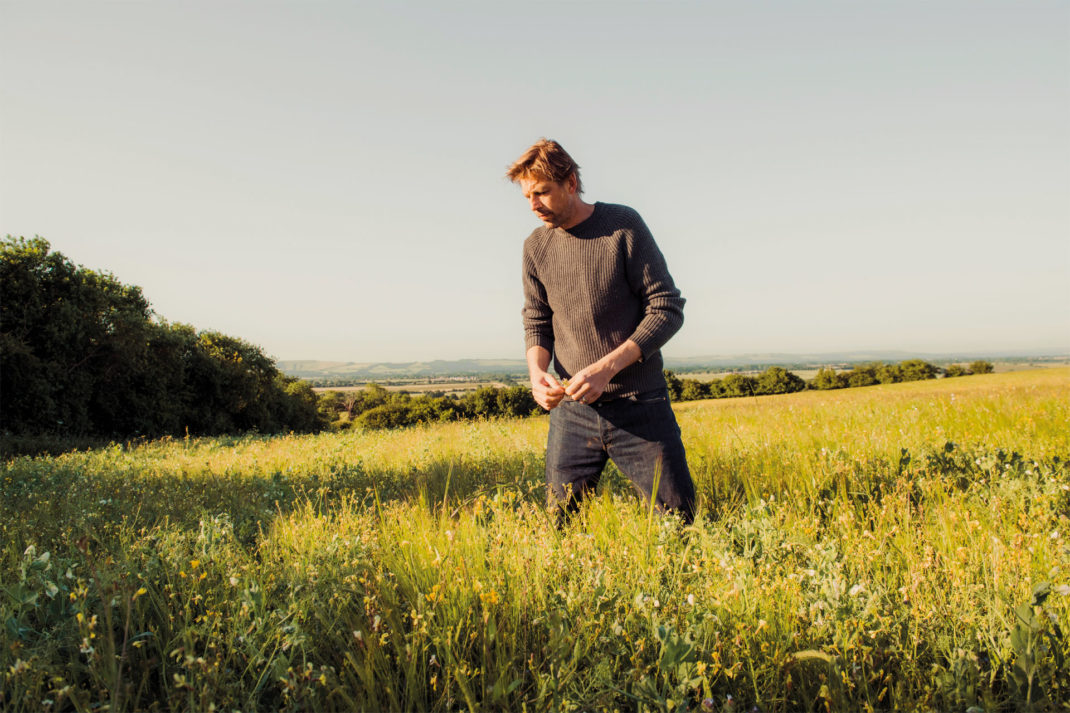Can We Trust Regenerative Claims? New Standards Say We Can