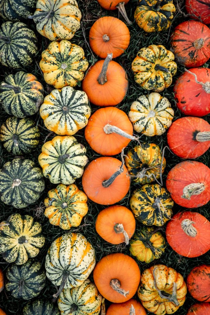 Your October 2025 Horoscope Is Here