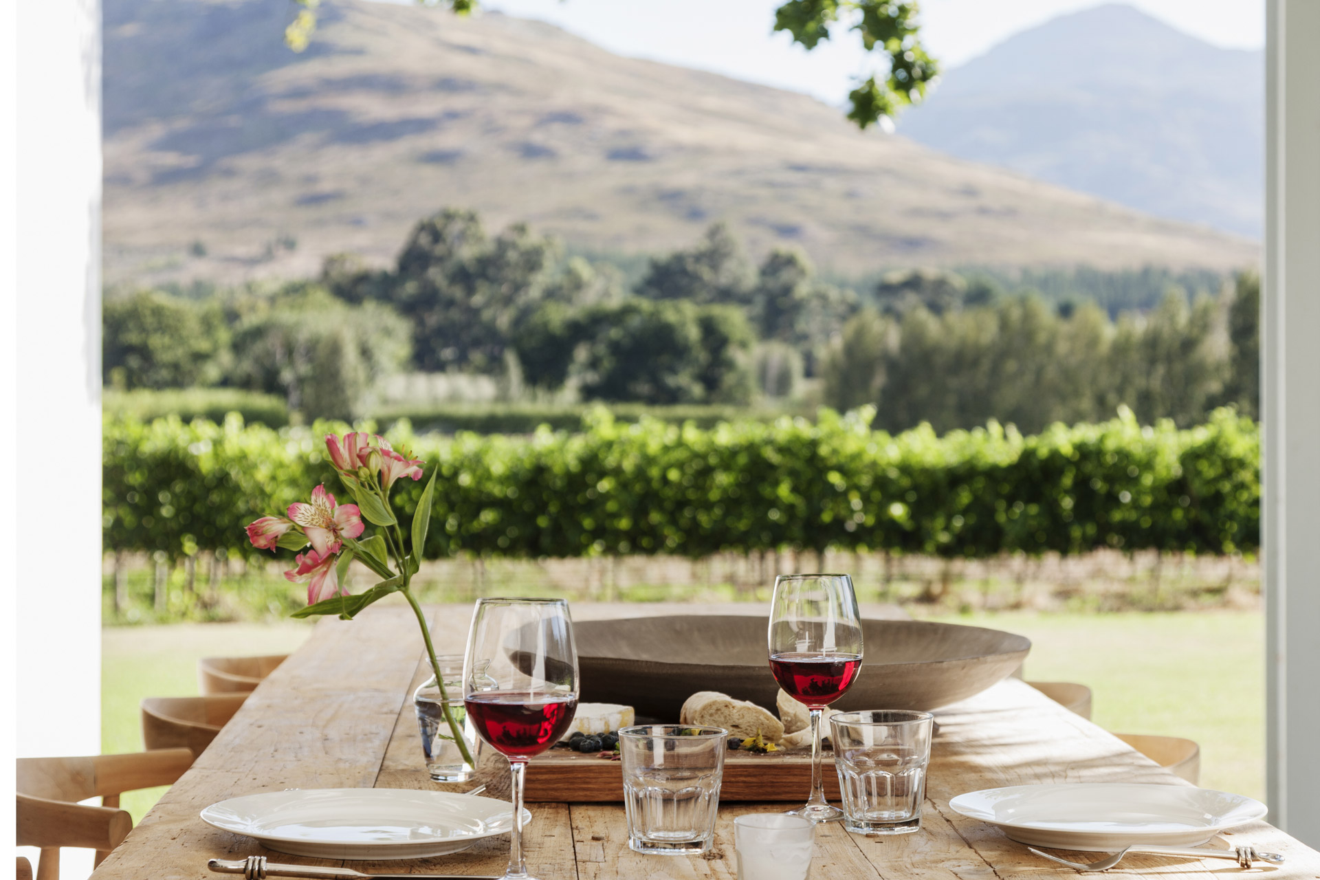 A restaurant in Cape Town overlooking a vineyard