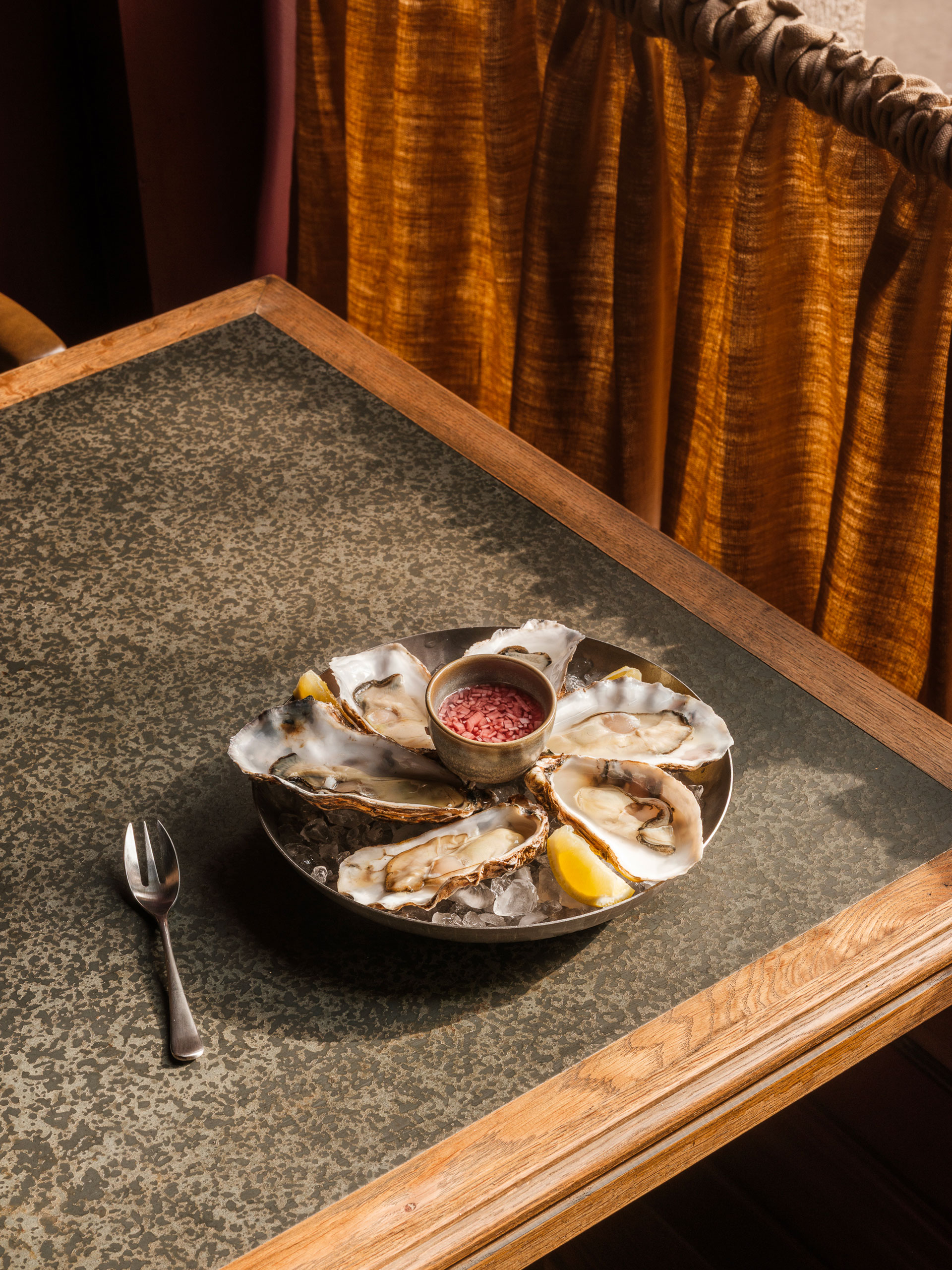 Oysters arranged on a plate
