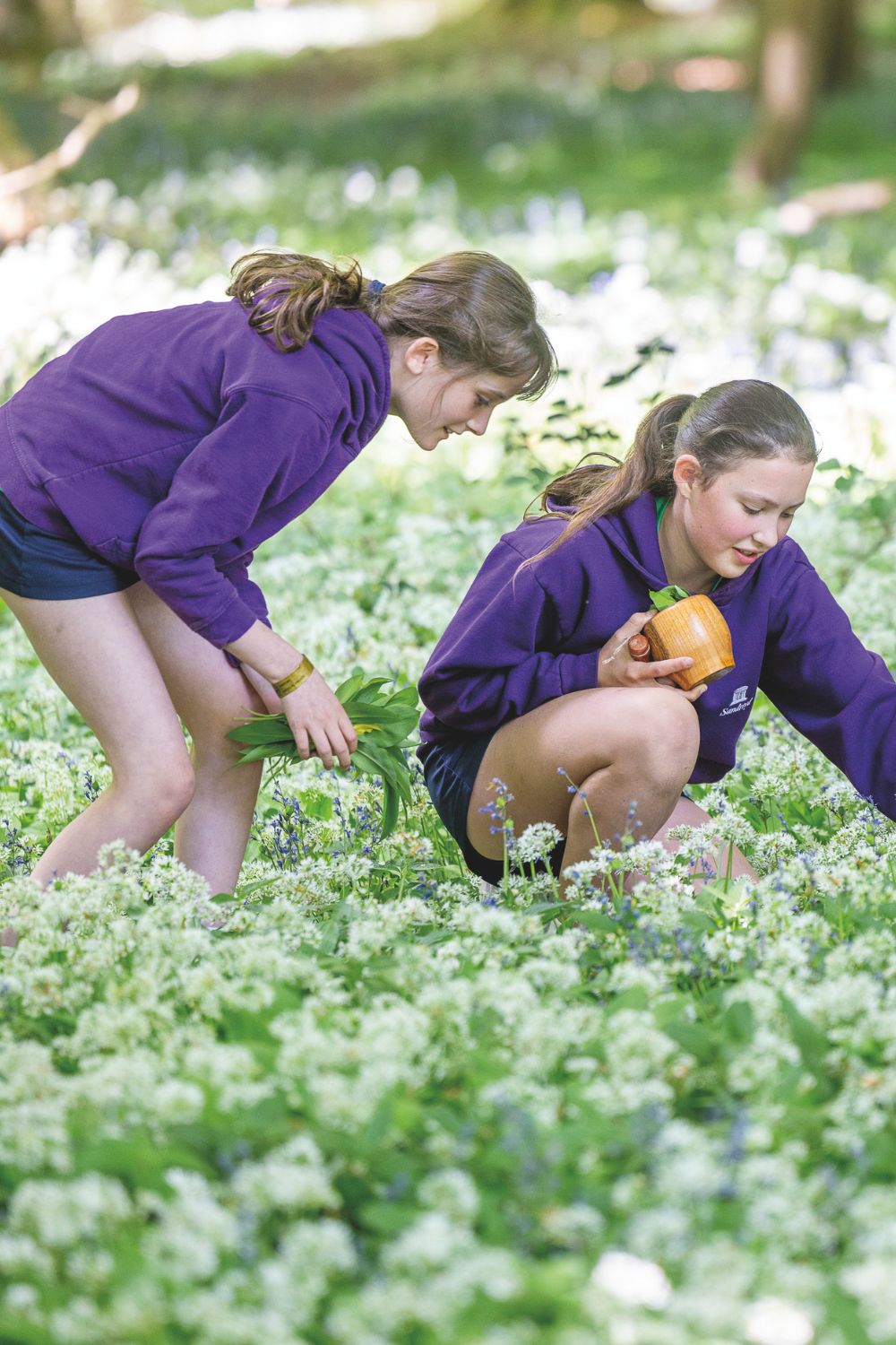 8 Blooming Amazing School Kitchen Gardens