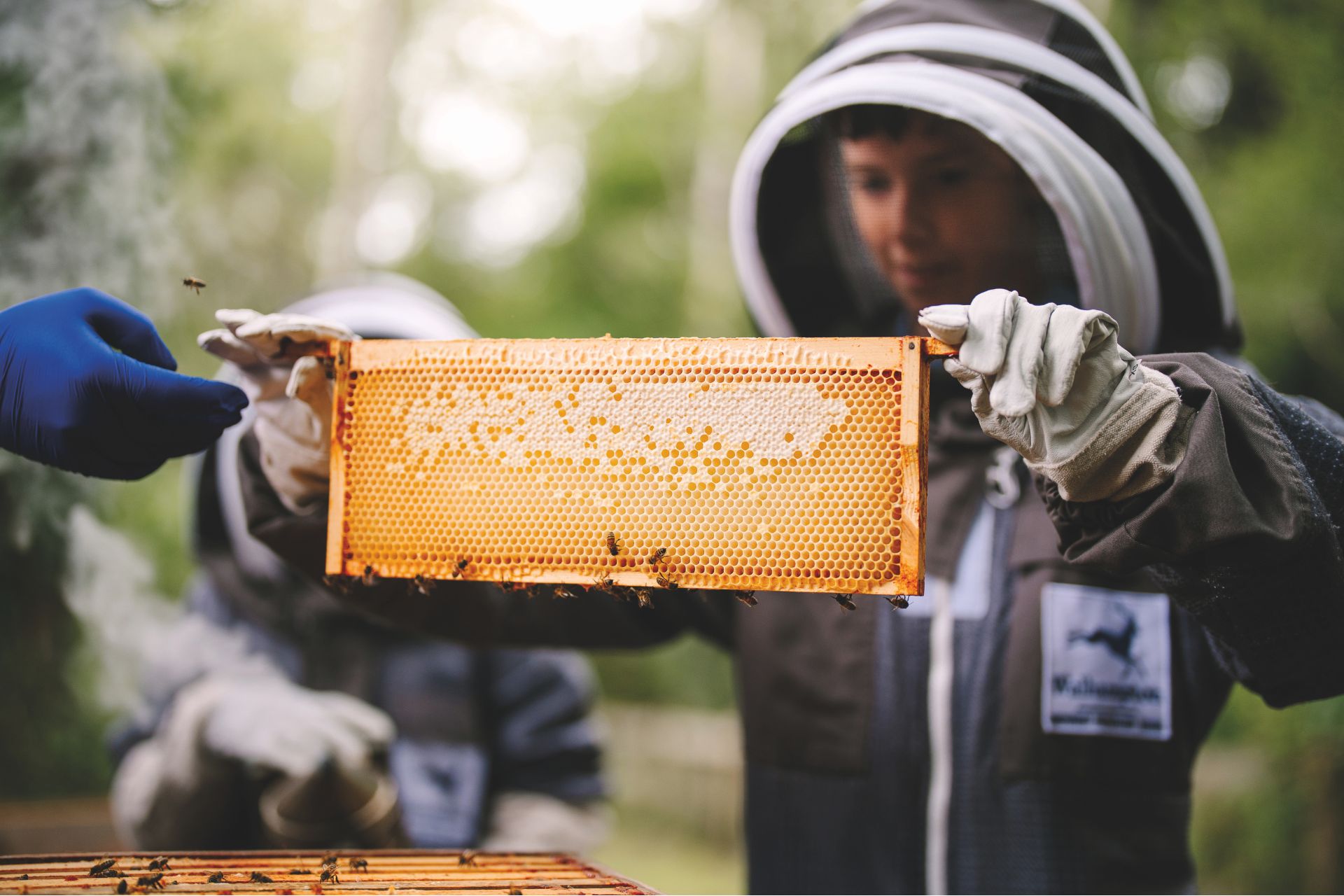 a prep-age boy in a beekeeping suit holds up a slab of honeycomb that he has taken out of the hive, with bees on it