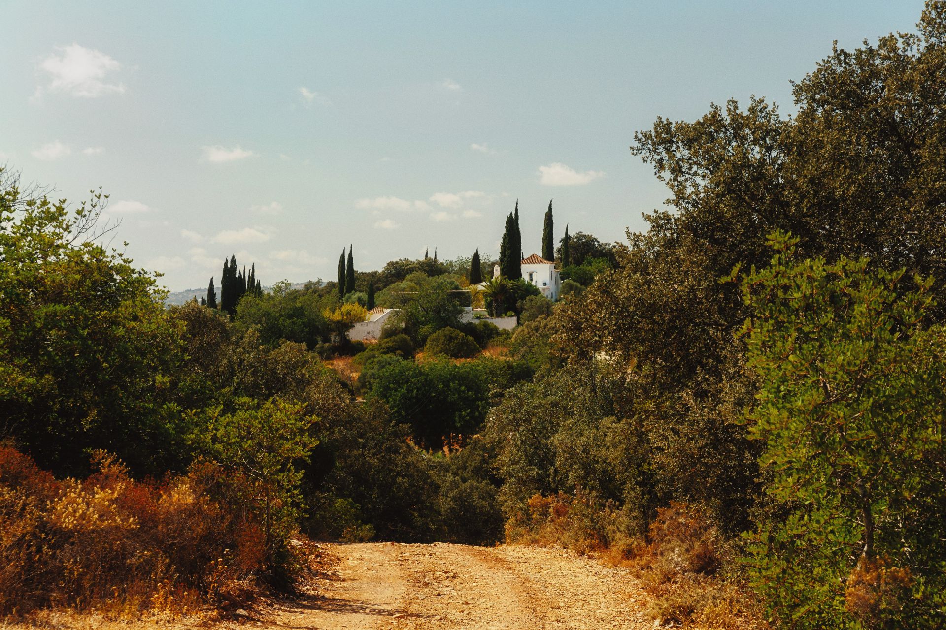 Monte da Palmeira
