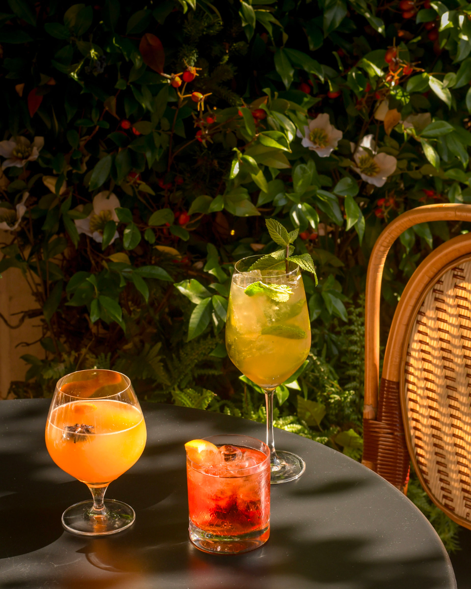 Three cider based cocktails, one long serve and two short