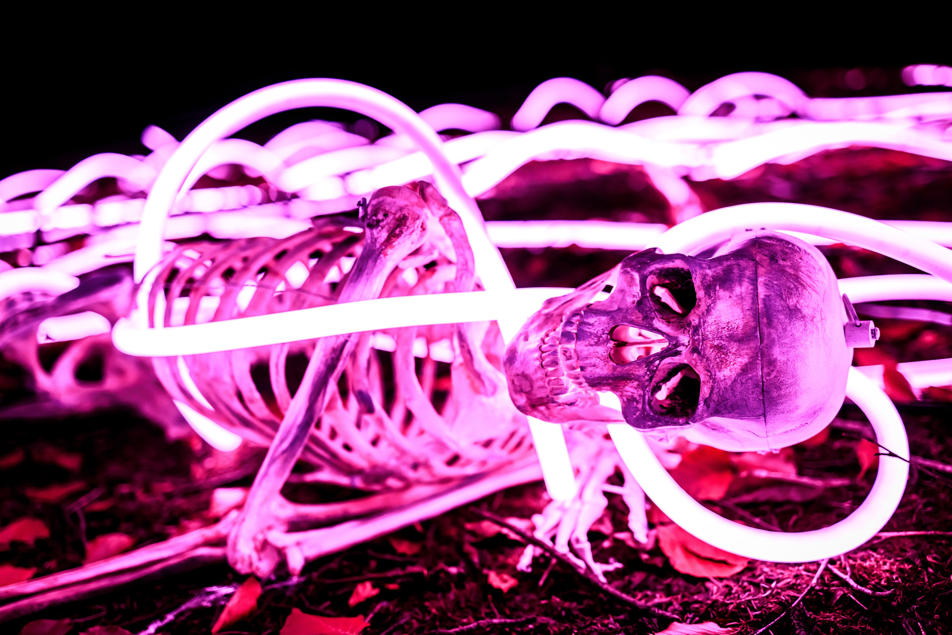 A Neon skeleton