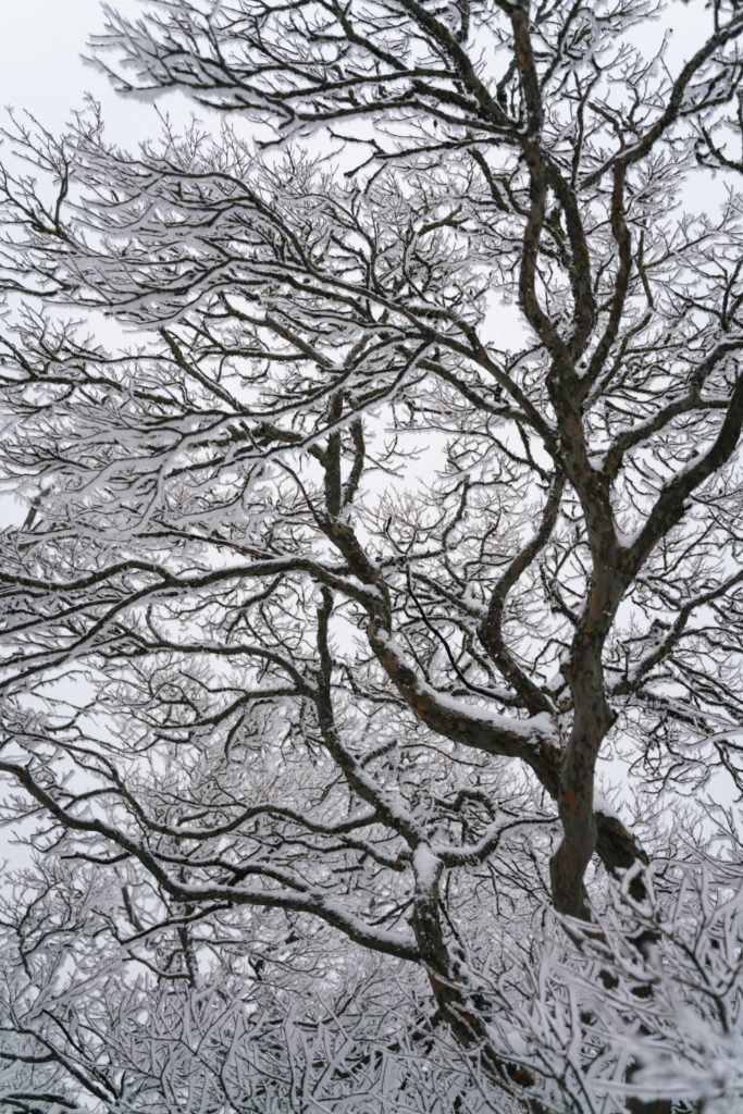 Your December 2025 Horoscope Is Here