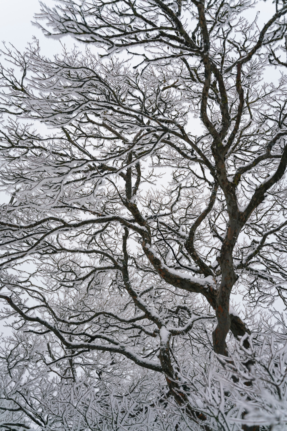 Your December 2025 Horoscope Is Here