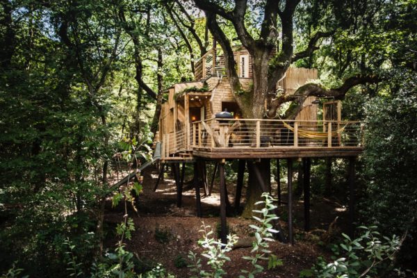 treehouse