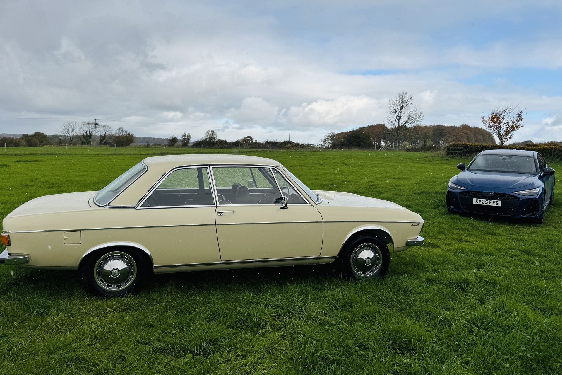 The Audi 100 on a field