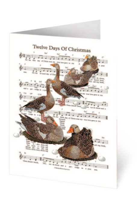 Christmas card with geese