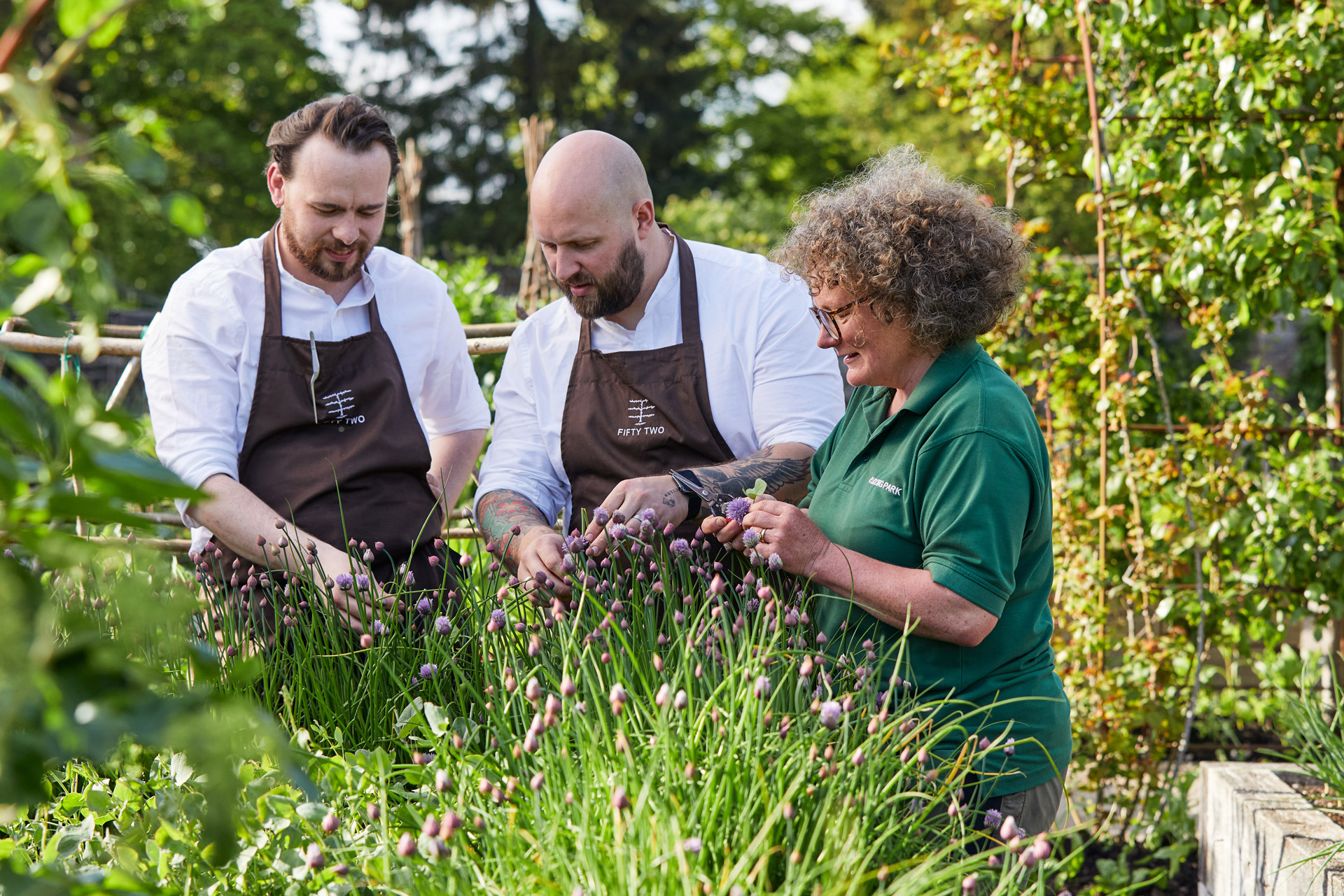 Chefs picking vegetables from the garden at Fifty Two Rudding Park
