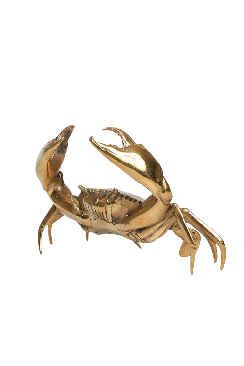 Gold crab