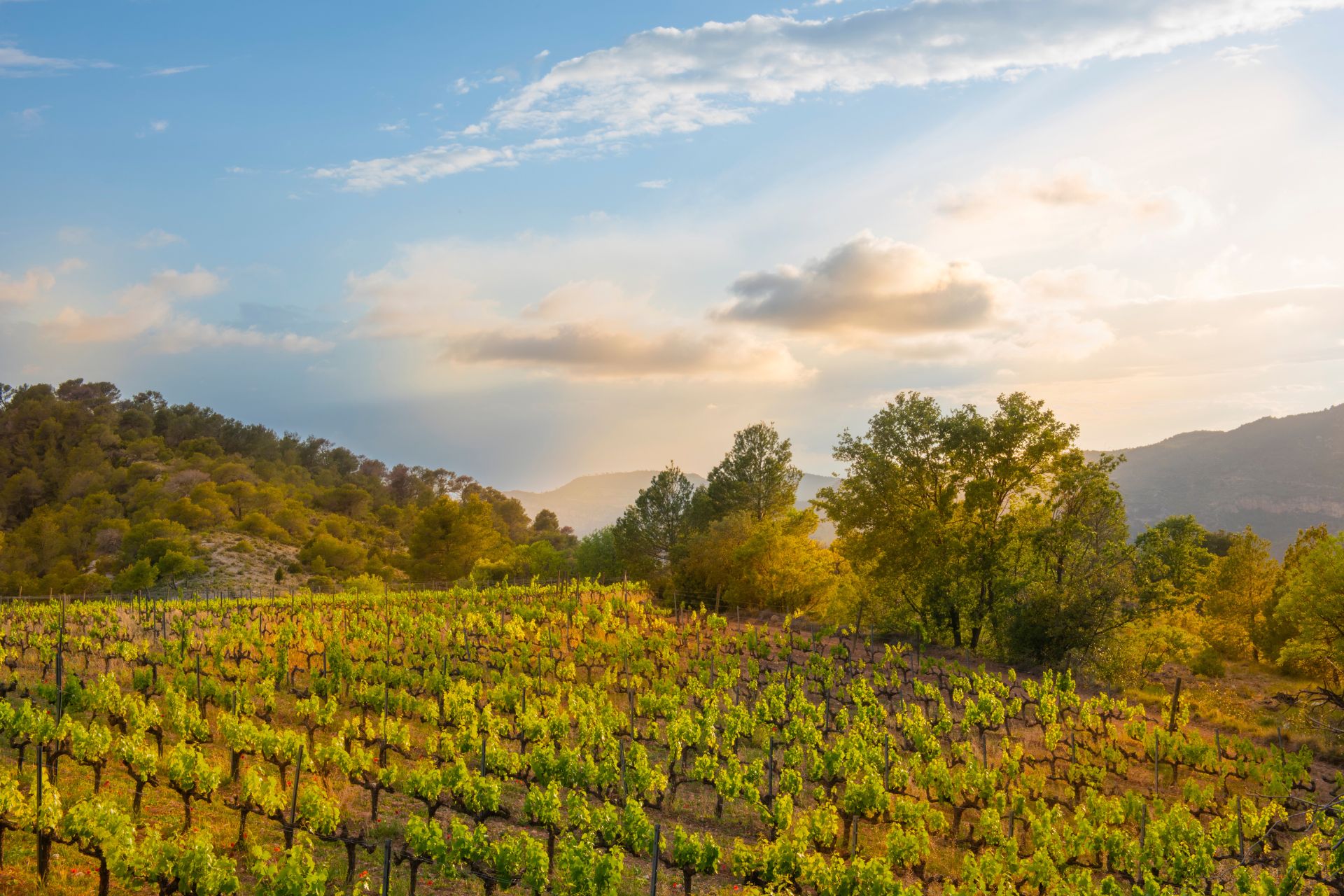 Gran Hotel mas d'en bruno