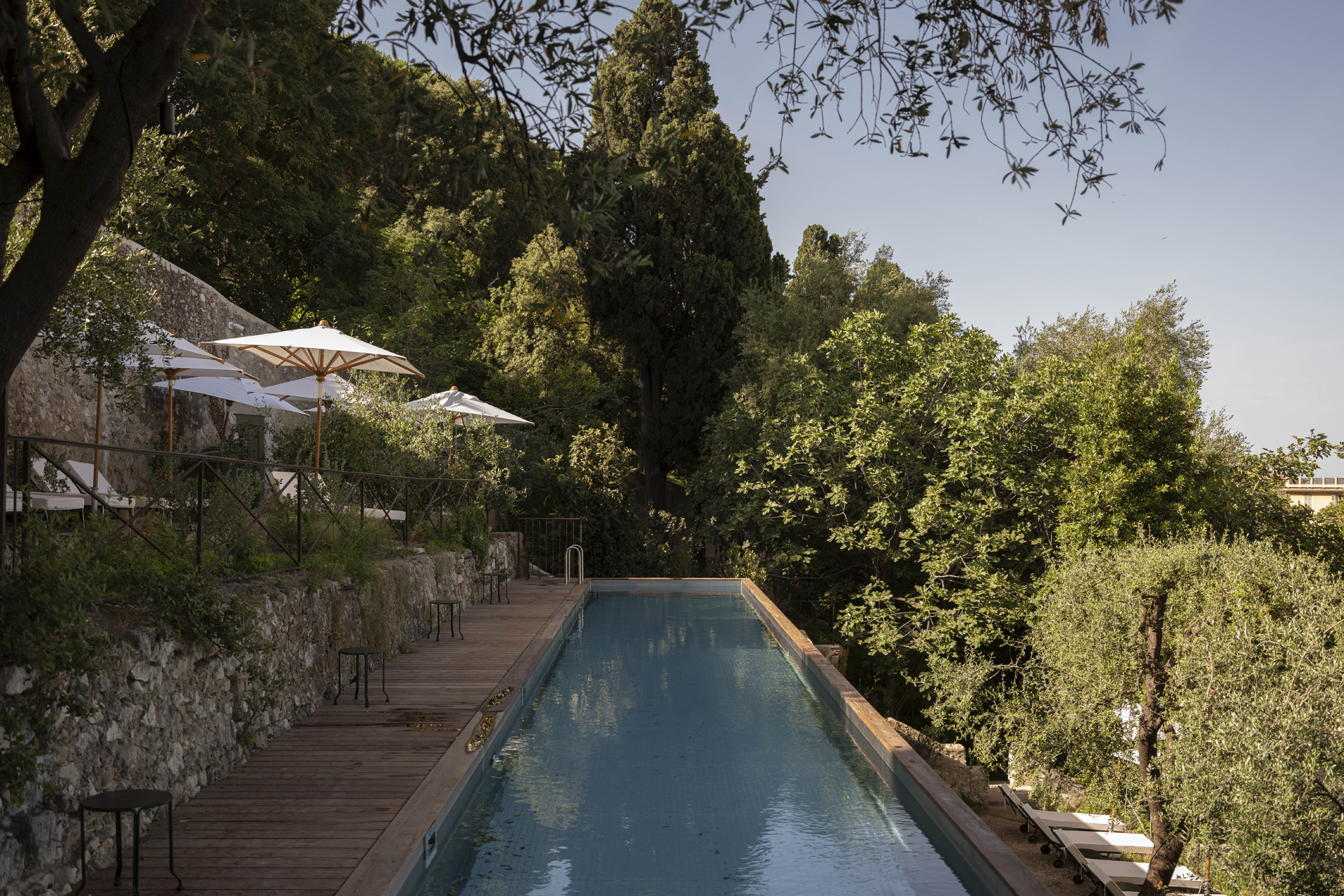 A swimming pool surrounded by trees