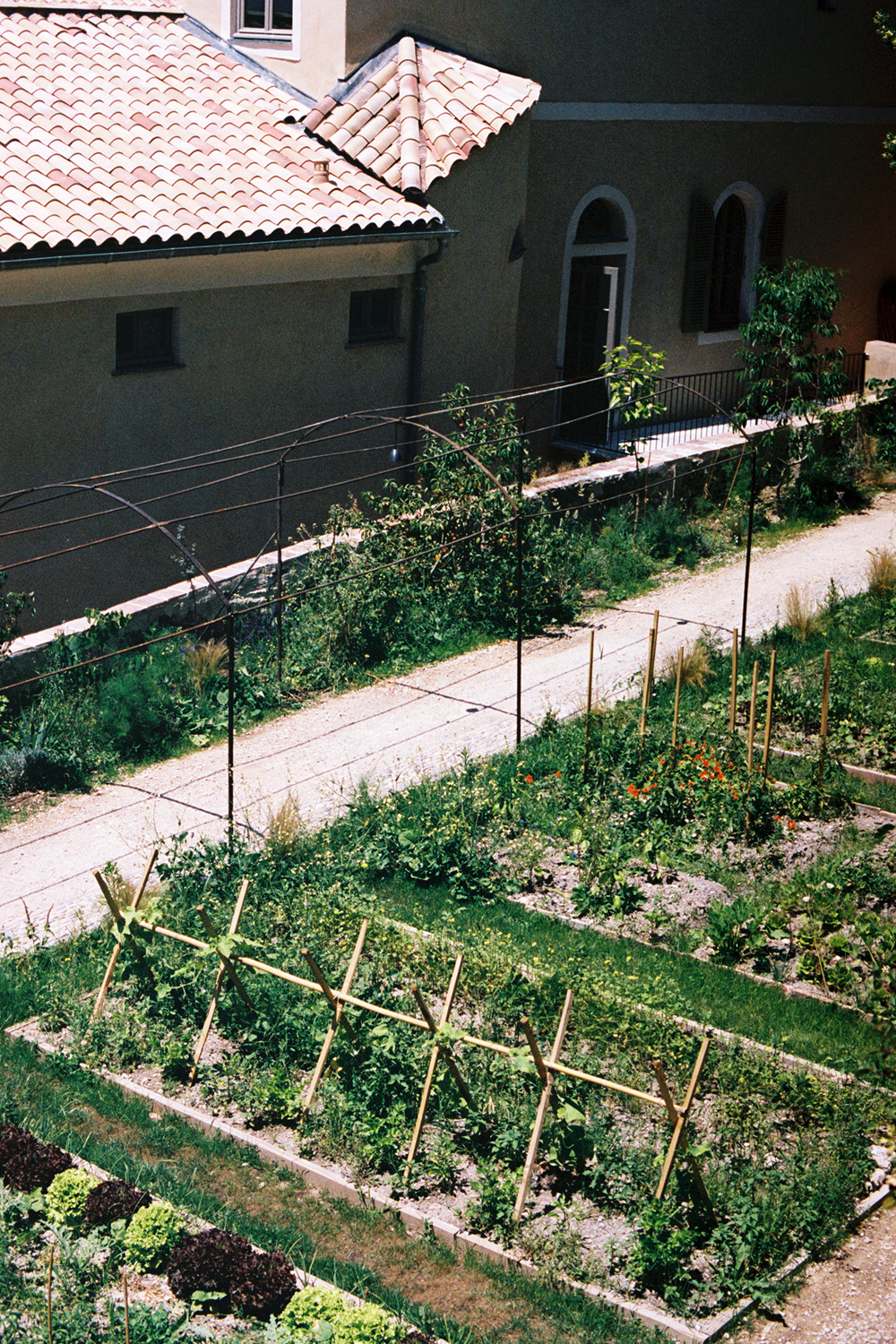 The gardens at Hotel Du Couvent, Nice