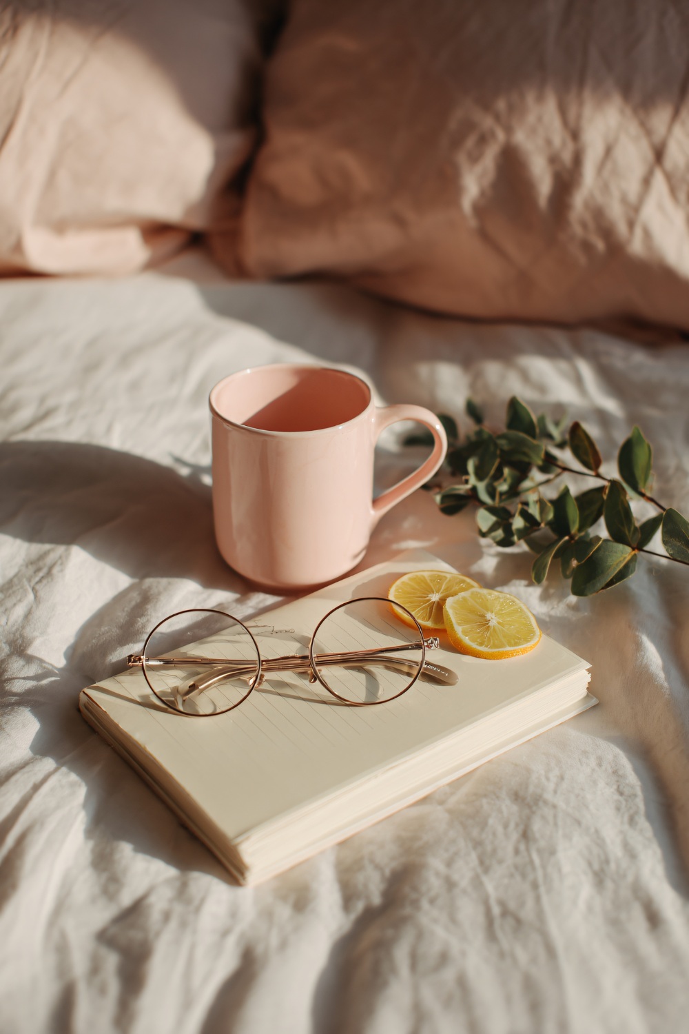 2026 Horoscopes: What Astrologer's Predict For Gemini