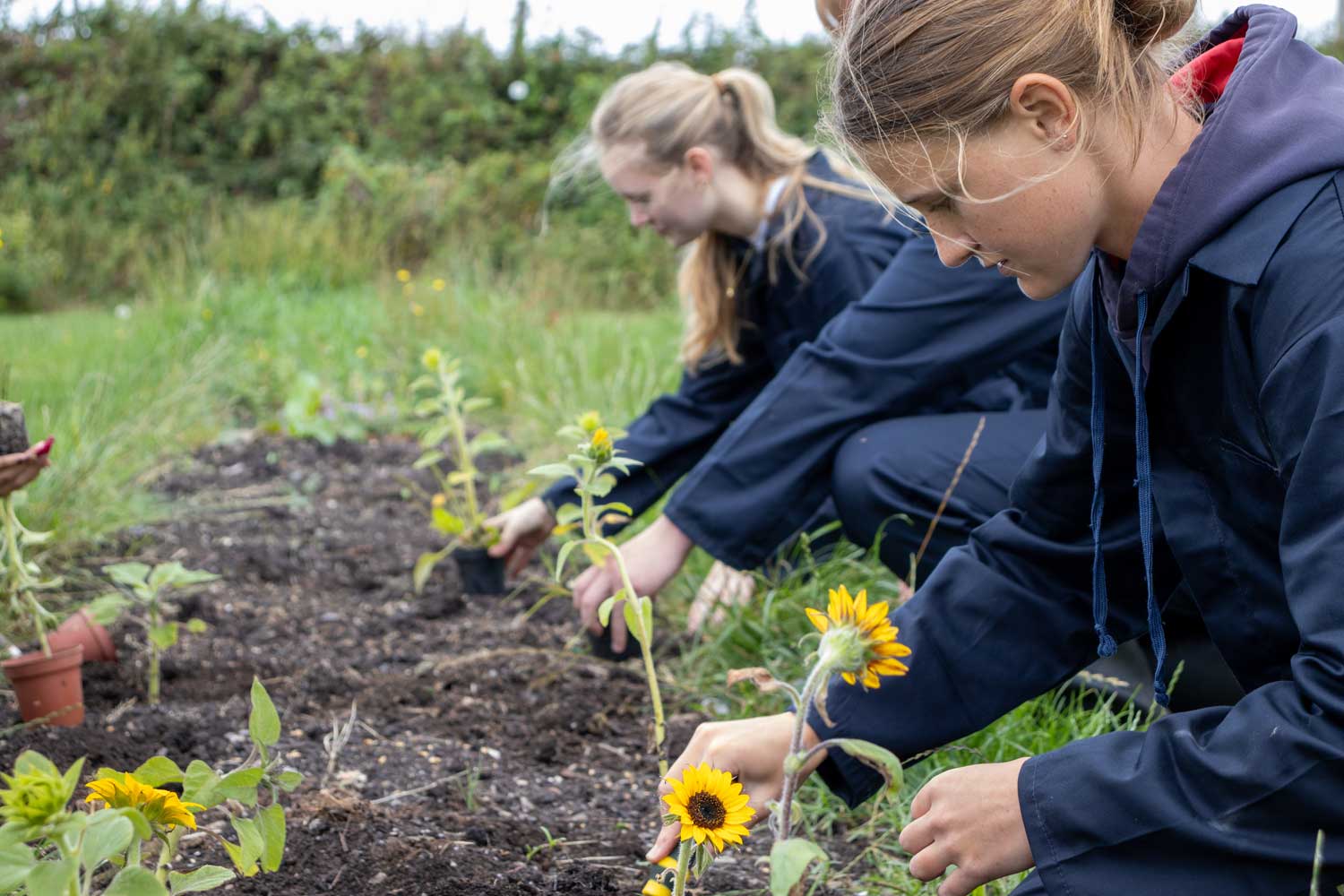 children farming with Farms for City Children