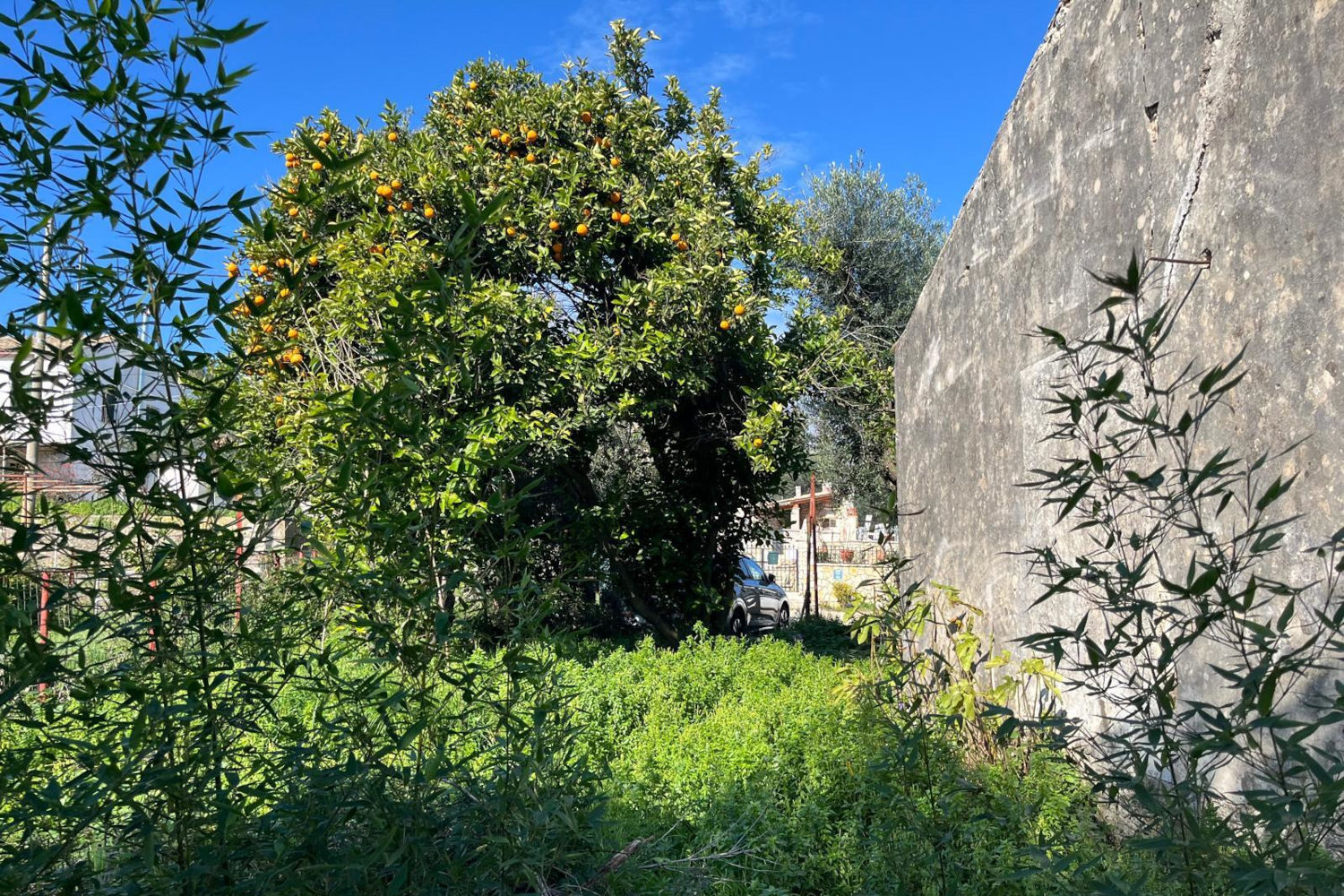 Outdoor Kitchen BEFORE