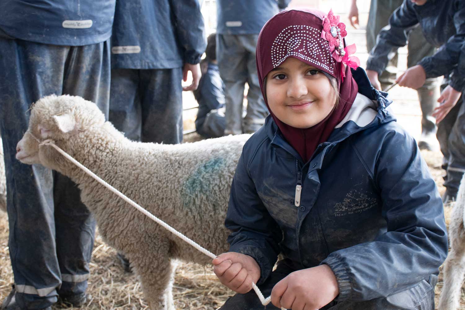 child with a sheep