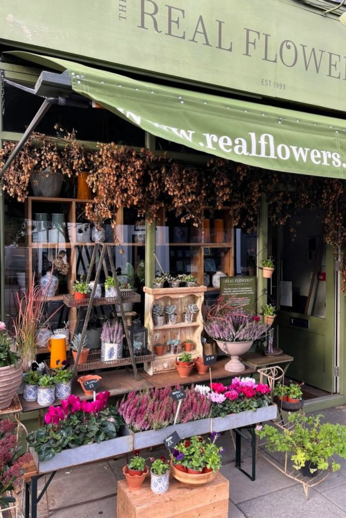 the real flower company