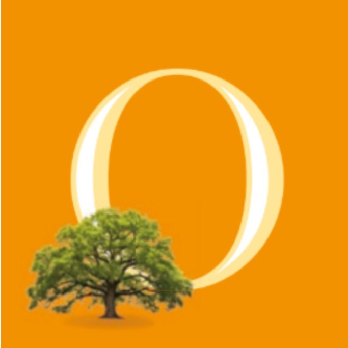 letter O