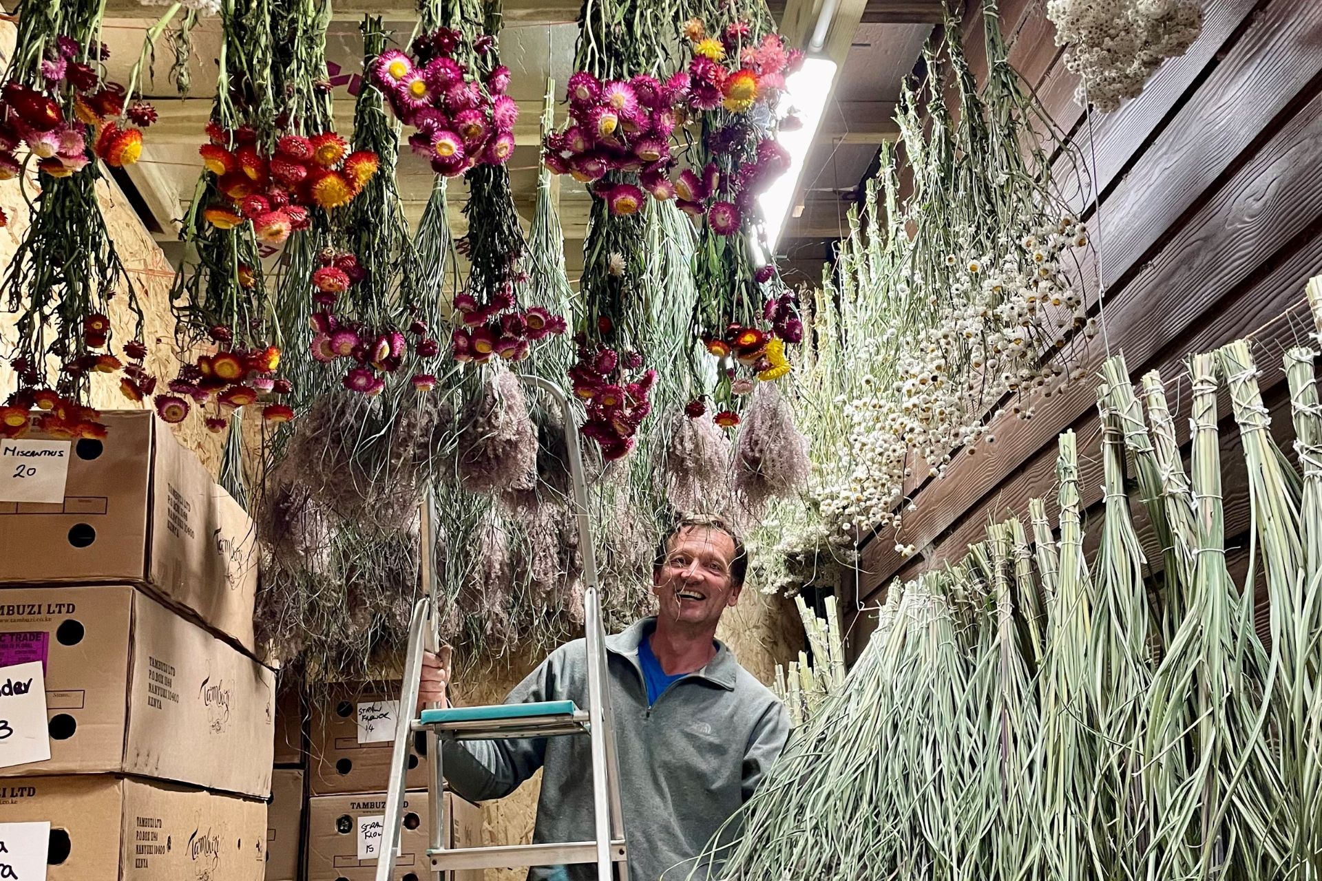 drying flowers