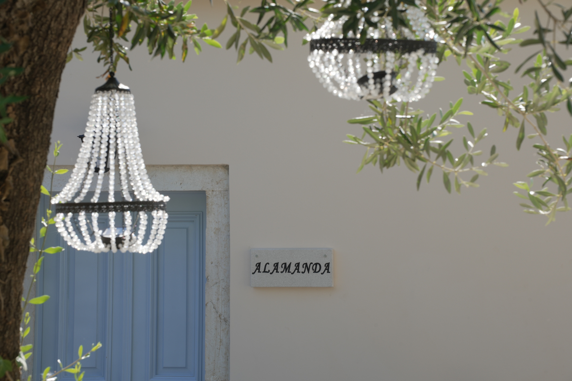 Chandeliers hung on tree outside