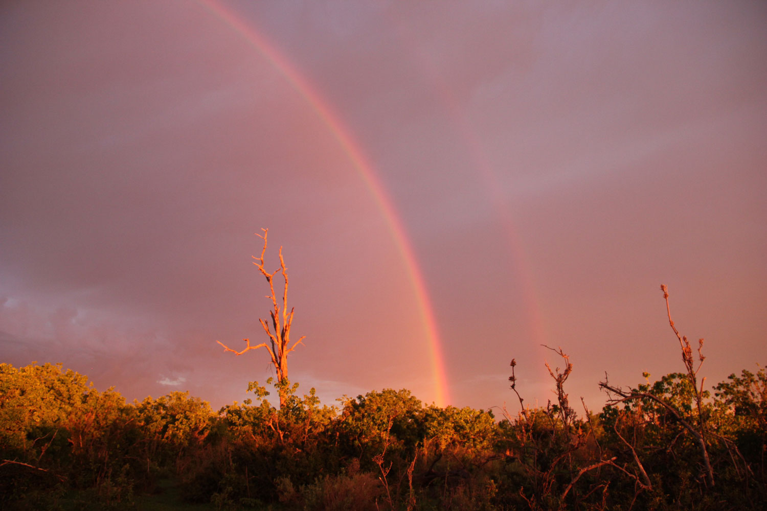 Rainbow in the Okavango Delta