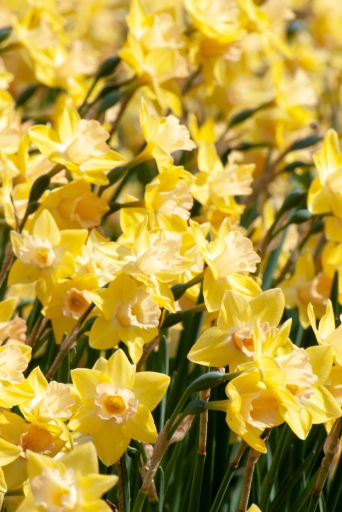 Your March 2026 Horoscope Is Here