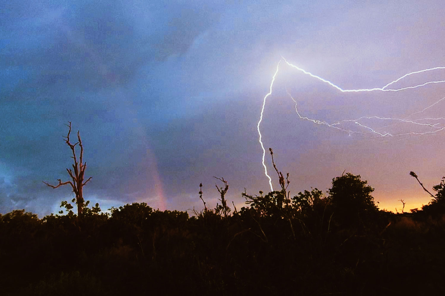 Lightning in the Okavango Delta