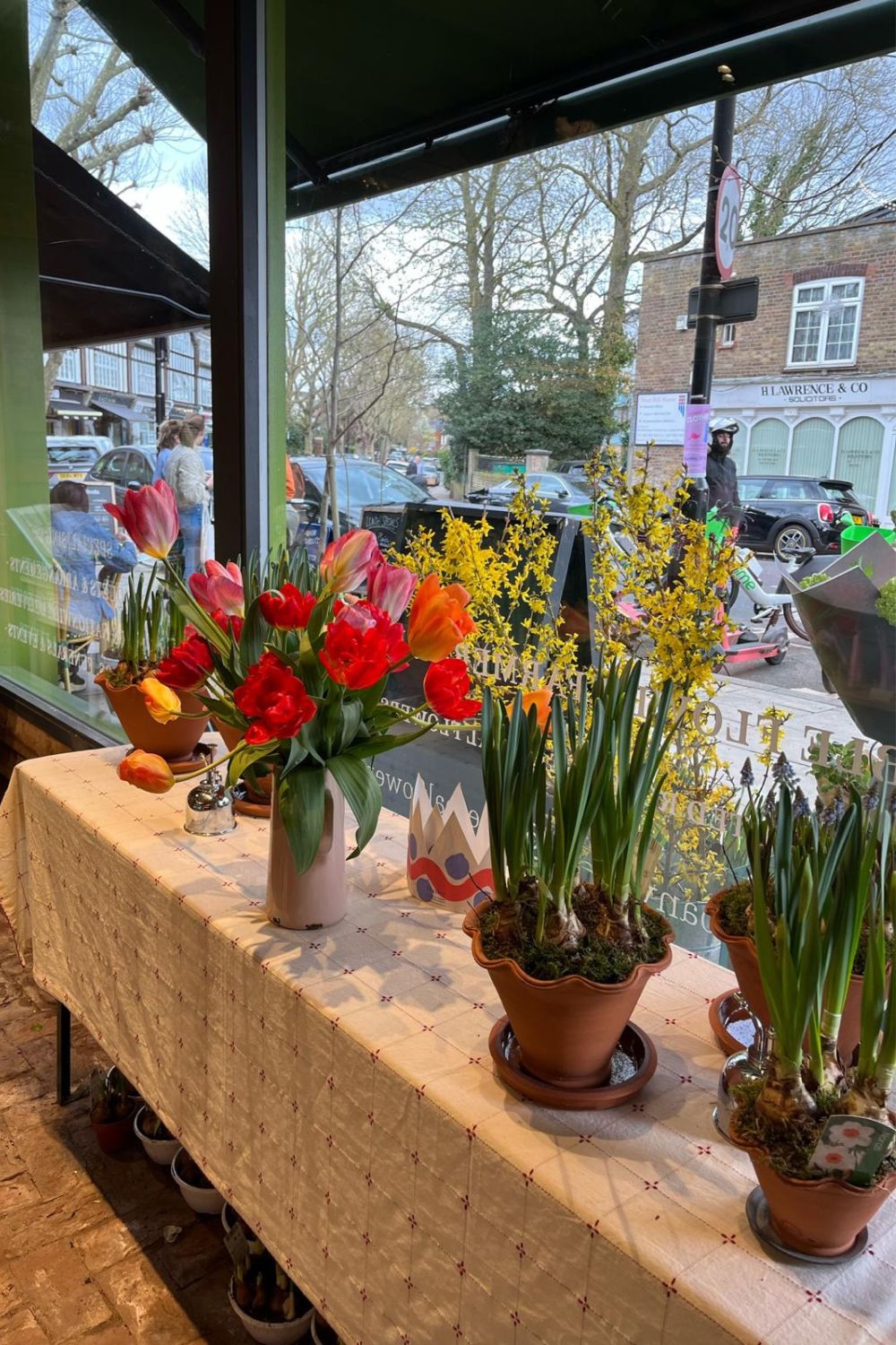 How To Keep Your House Plants Alive