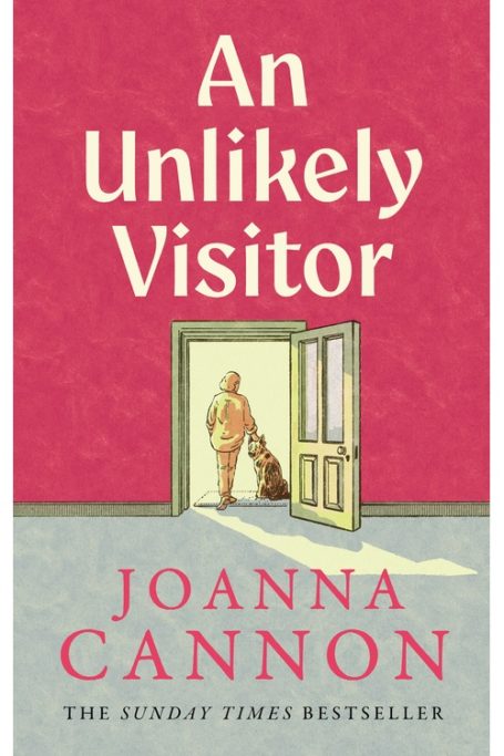 An Unlikely Visitor book cover
