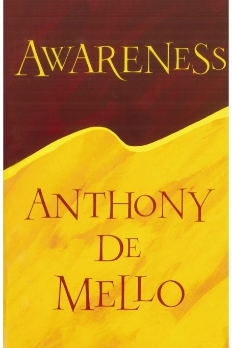 Awareness book cover