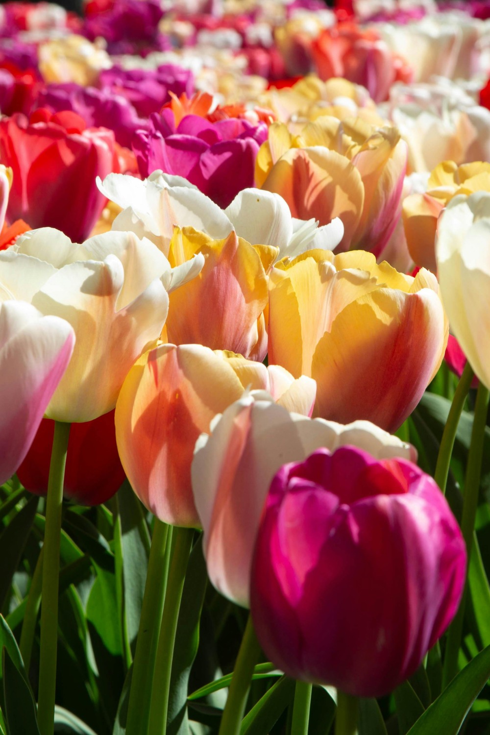 Your April 2026 Horoscope Is Here