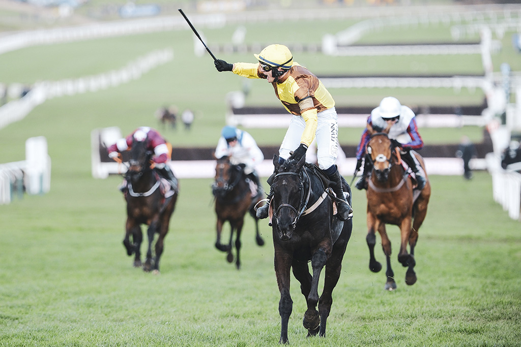 Jockeys at Cheltenham