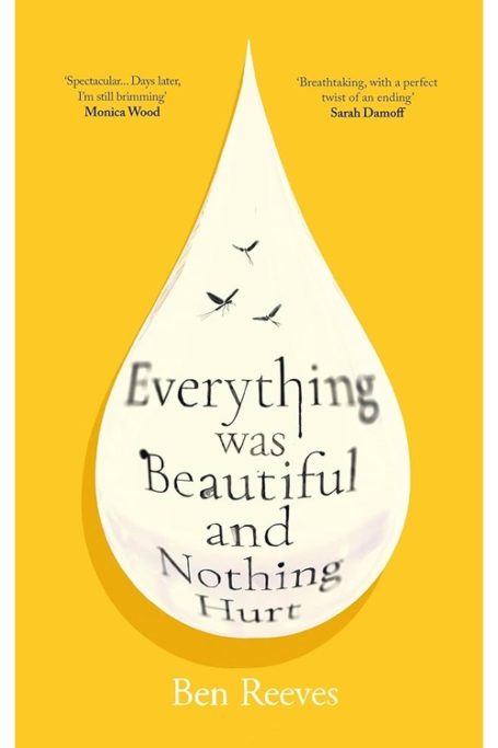 Everything Was Beautiful and Nothing Hurt book cover
