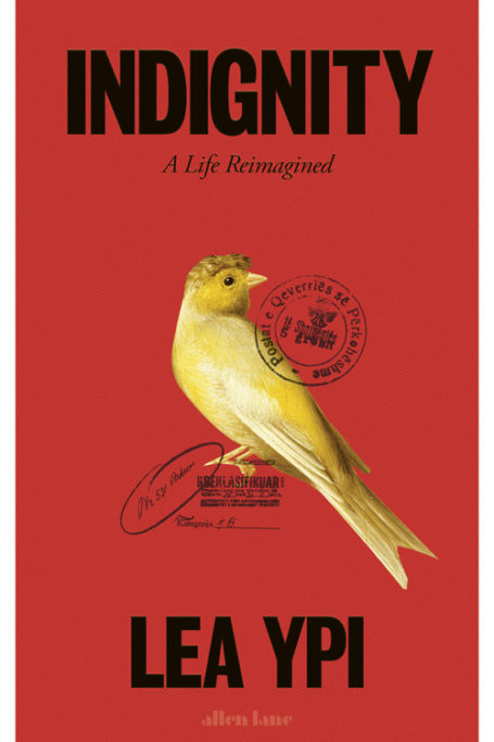 Indignity book cover