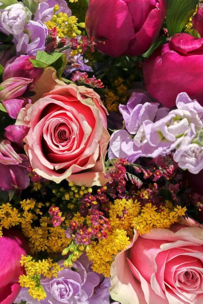 The B Corp Luxury List