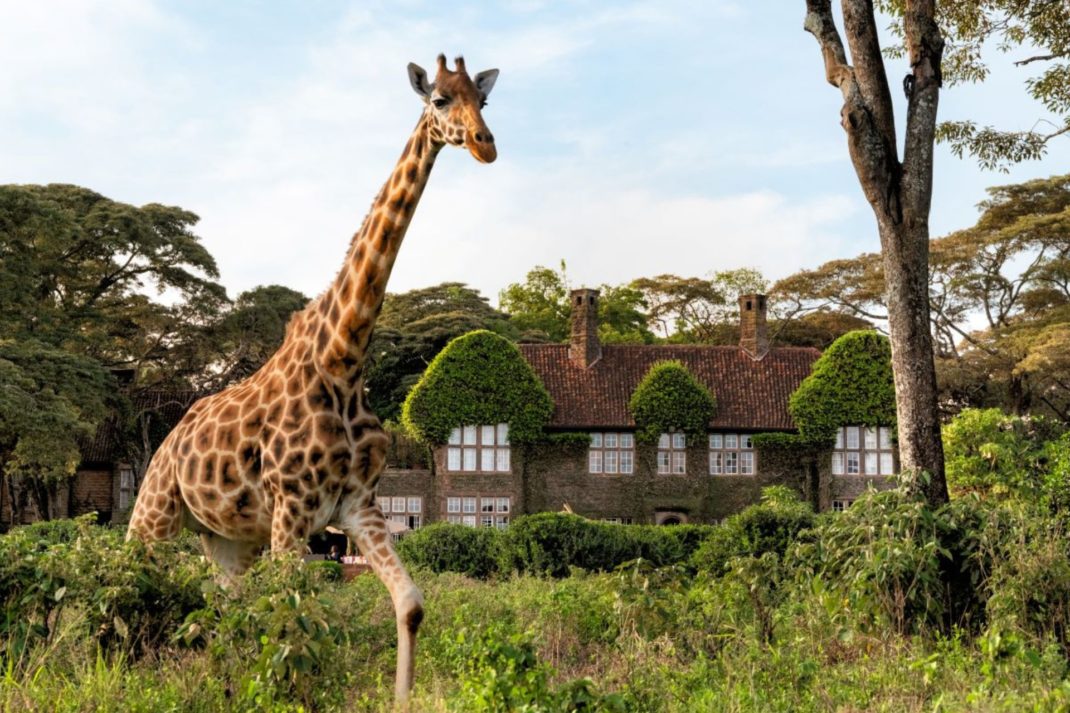 Hotel Review: Giraffe Manor, Nairobi