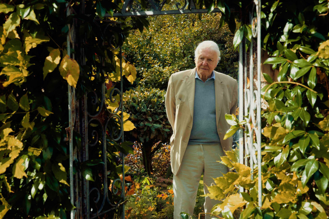 All The New David Attenborough Shows Dropping This Spring