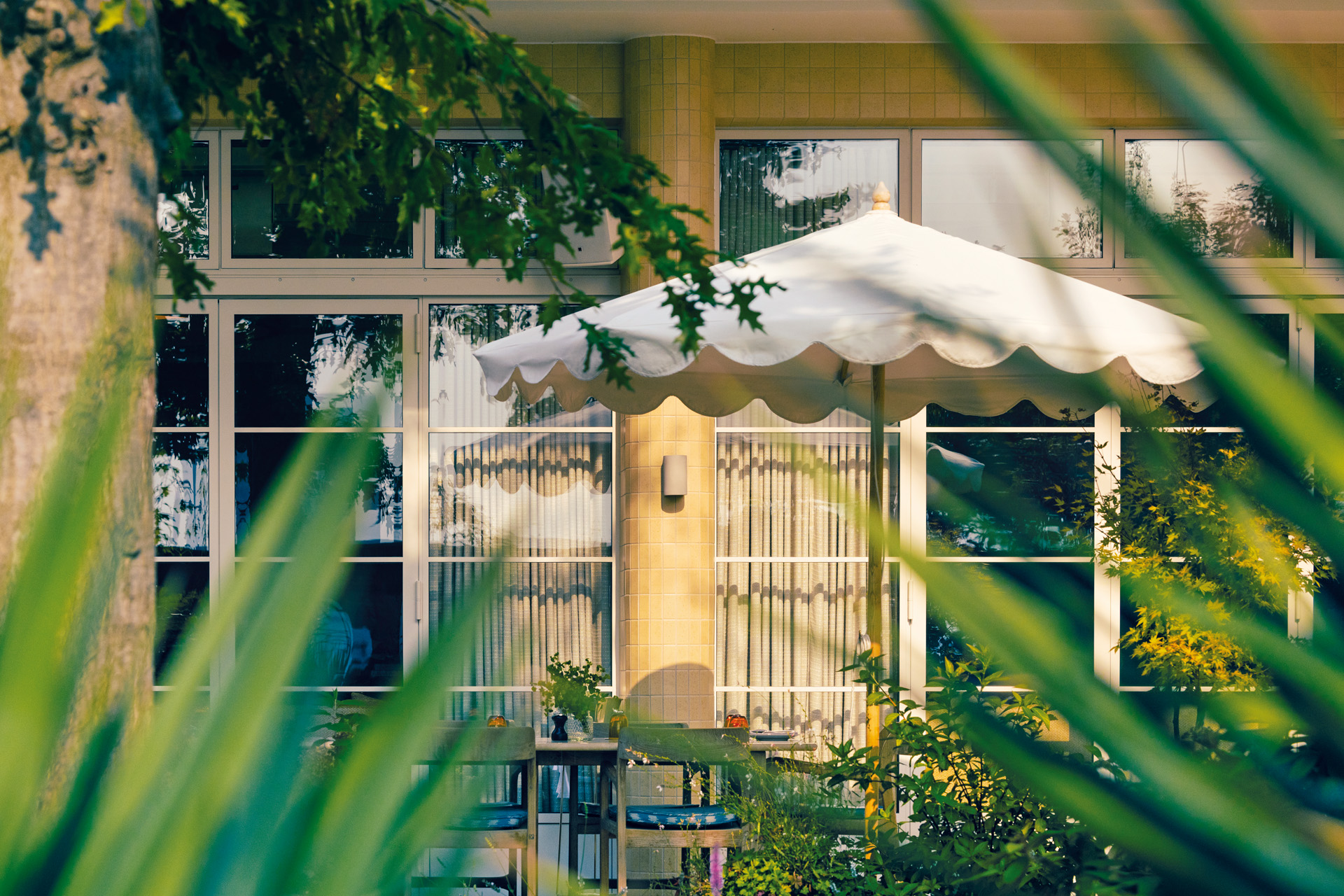 A parasol viewed through trees