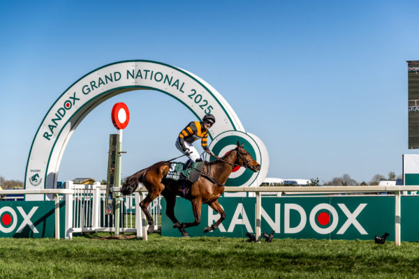 Horse and jockey at the Grand National
