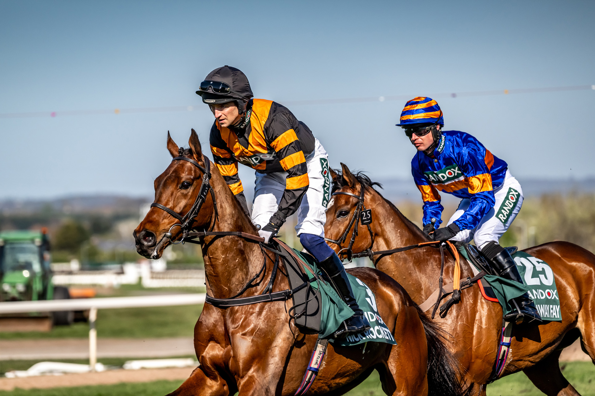 Horses at Grand National