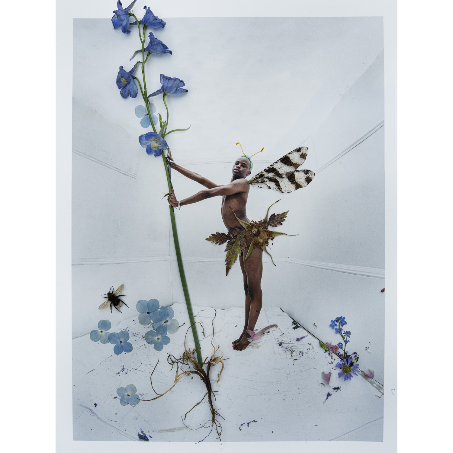 Harry Keita as Delphinium Fairy