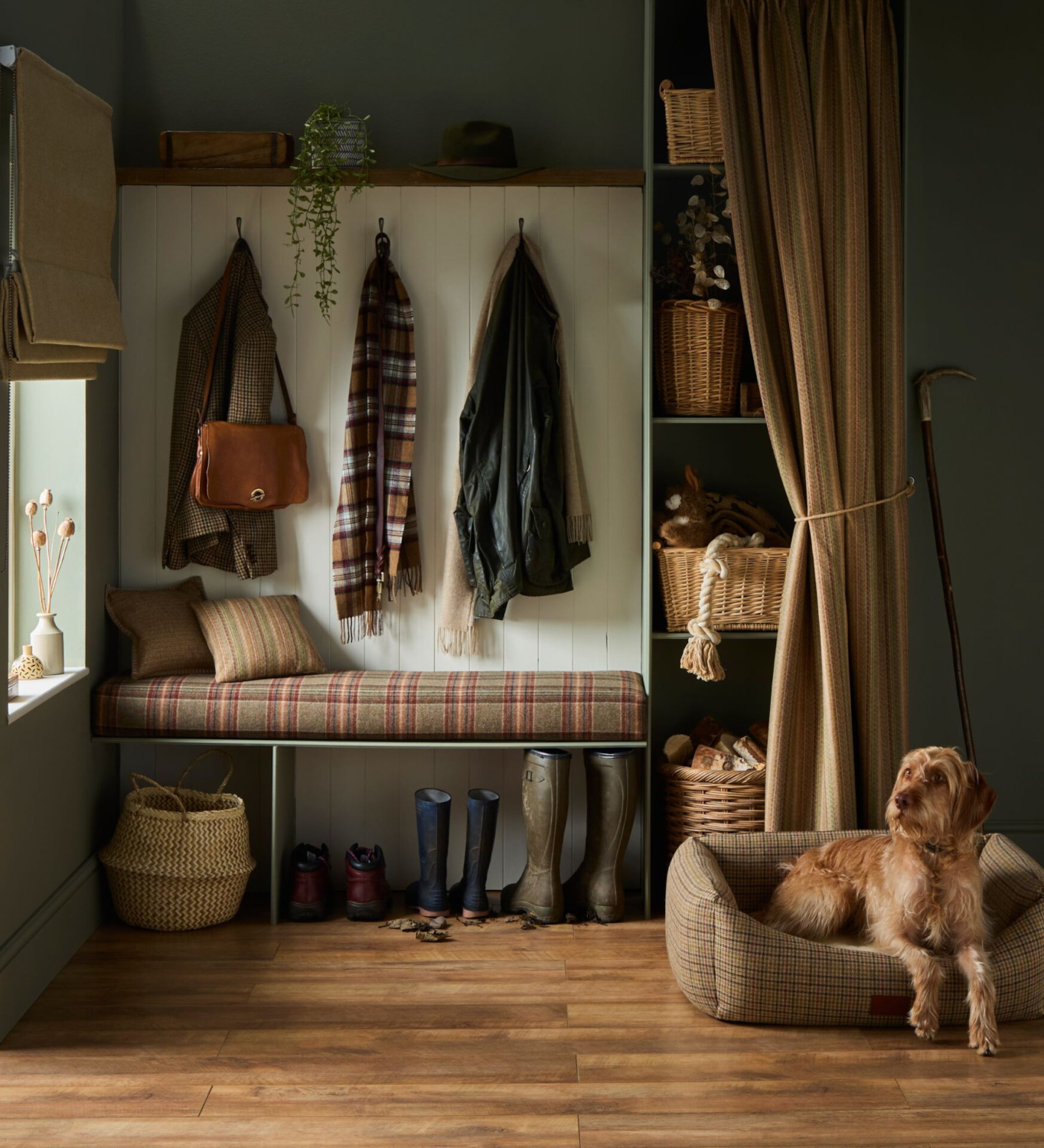Boot room with dog in bed and coats on hooks