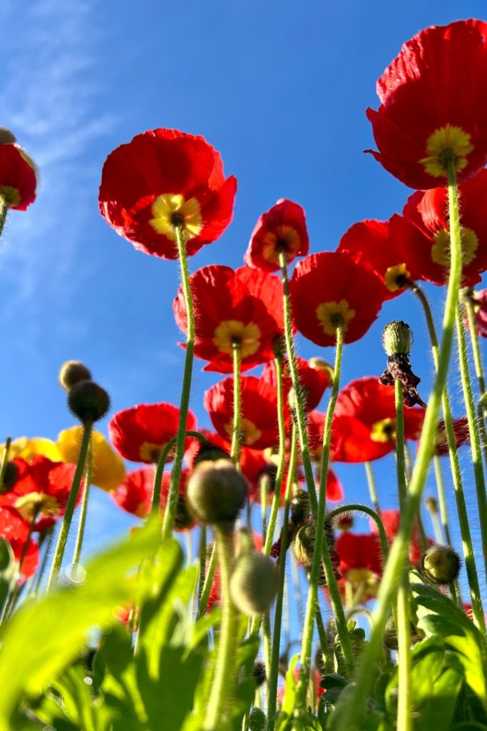 Your May 2026 Horoscope Is Here