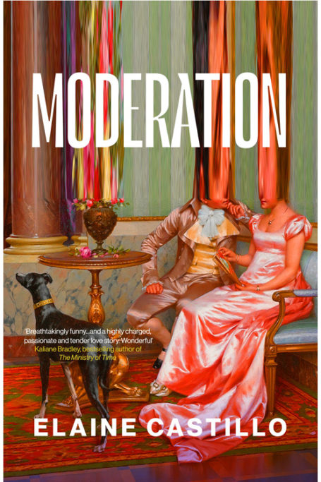 Moderation by Elaine Castillo book jacket