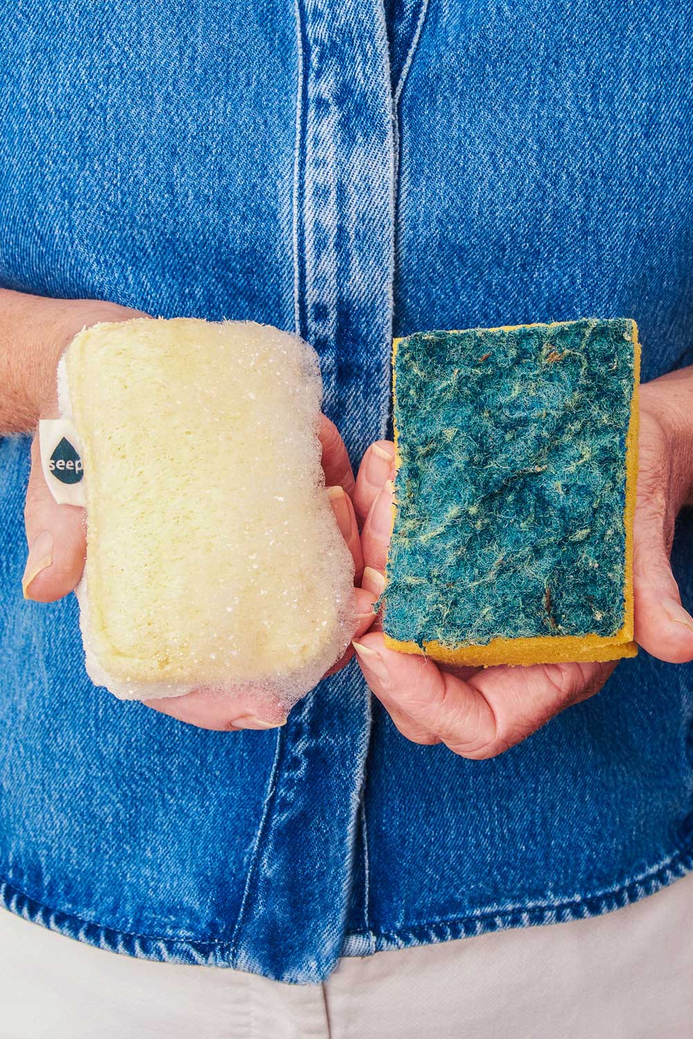 Seep sponge next to a plastic sponge